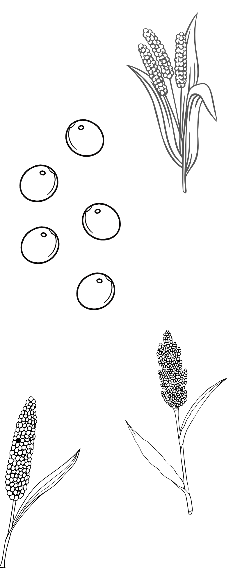 background shape