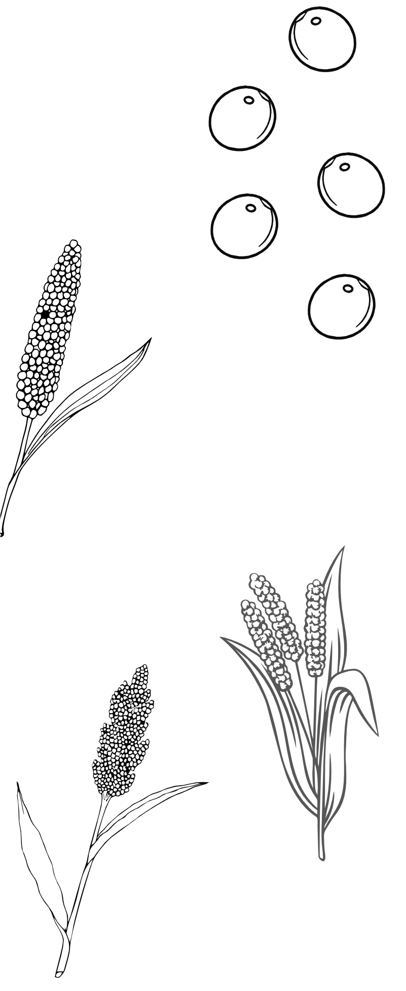 background shape