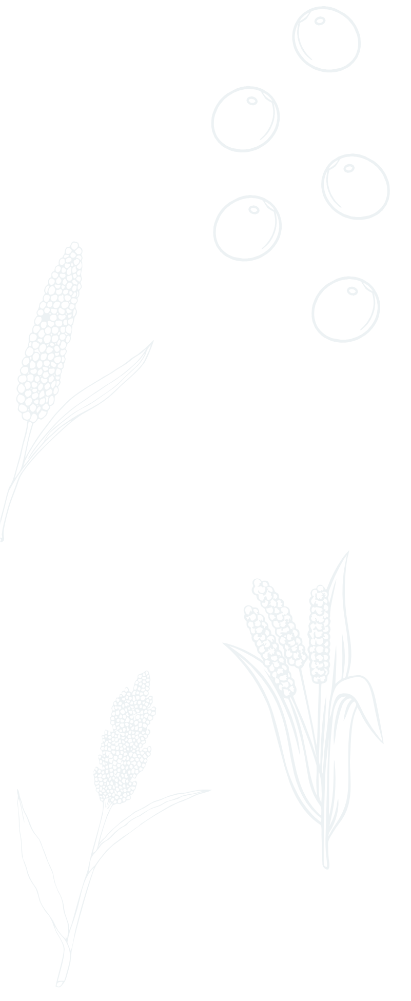 background shape